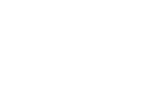 Festa del tartufo